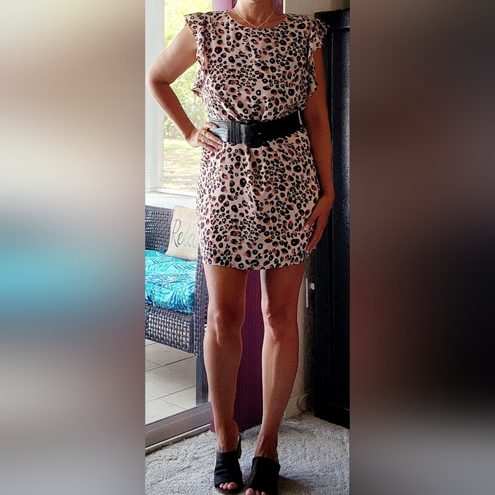 Anthropology Cupcakes and Cashmere pink leopard ruffle shift minidress Medium - Picture 6 of 6